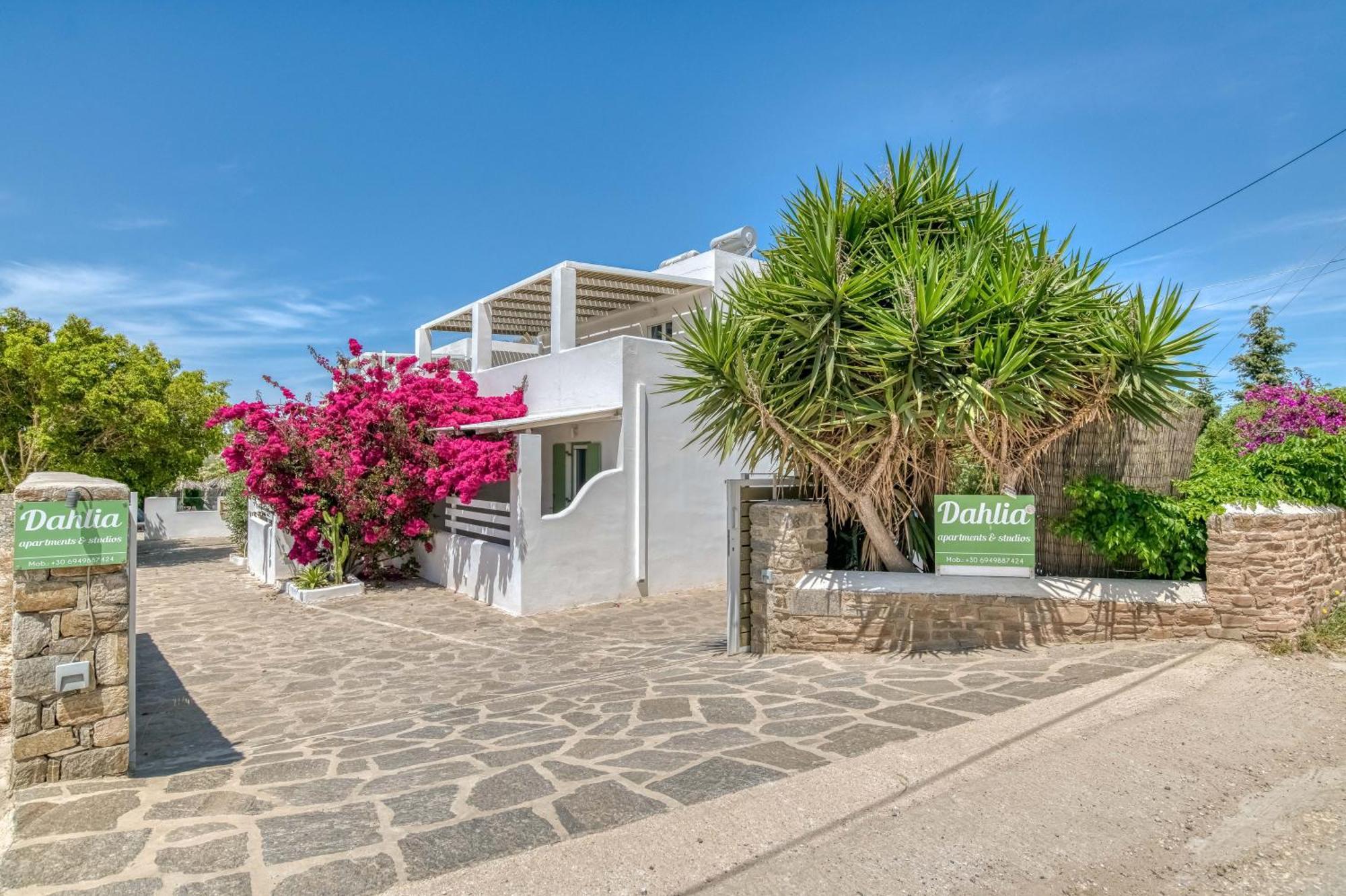 Dahlia Apartments And Studios Aliki  Exterior photo